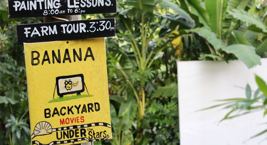 Banana Eco Farm leuke activiteiten